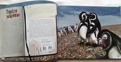 Animales Autóctonos para Niños Nativos- Islas del Atlantico Sur, Mar argentino y Antártida - comprar online