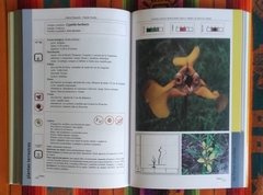 Imagen de PLANTAS NATIVAS RIOPLATENSES PARA EL DISEÑO DE ESPACIOS VERDES - Introducción al Paisaje Natural - Parte II