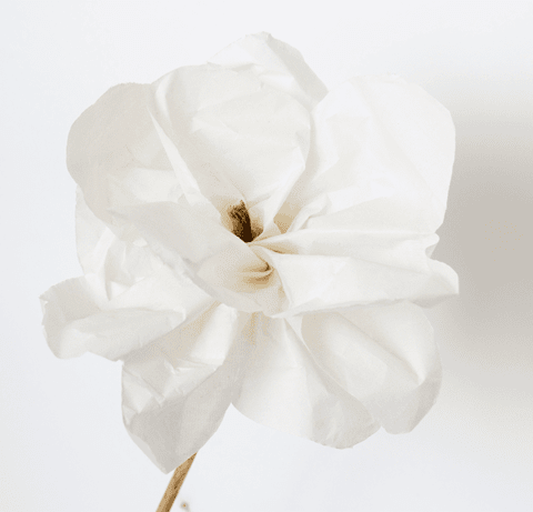 Luxury Paper Flower Magnolia