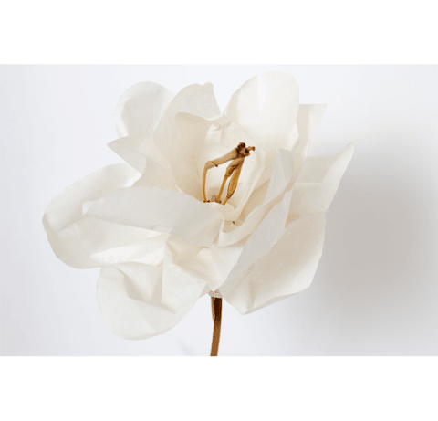 Luxury Paper Flower Magnolia en internet