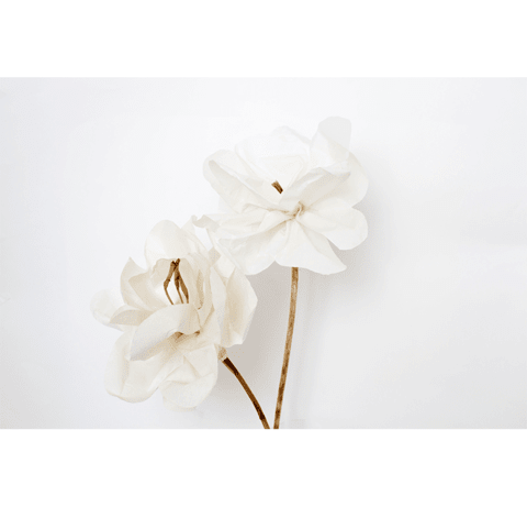 Luxury Paper Flower Magnolia - Luxury Scents
