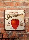 Chapa rústica Strawberries - comprar online