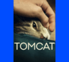 Tomcat (download)