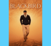 Blackbird (download)