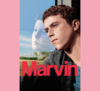 Marvin (Marvin ou la elle educación) (download)