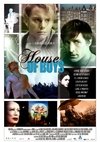 House Of Boys (2011)
