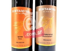 Vino tinto shiraz "Binyamina" en internet