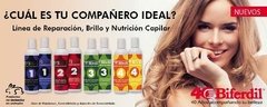 Biferdil 2 Shampoo + Balsam Antifrizz Con Argan Y Camelia en internet