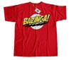 Remera The Big Bang Theory Mod.06