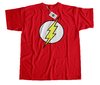 Remera The Flash Mod.07