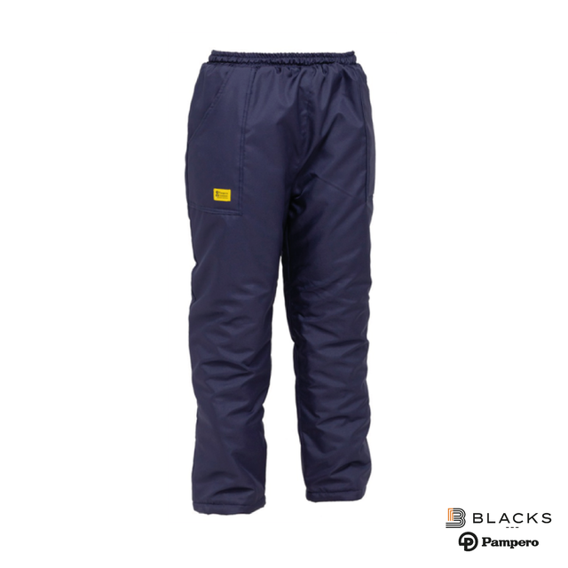 http://acdn.mitiendanube.com/stores/339/112/products/pantalon-termico1-a5d3ffb916400c184916891873322543-640-0.png