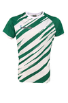 Remera de Entrenamiento CARTAGENA - Franjas Verde c/Blanco