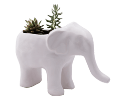 Maceta Elefante rosa - Casa Ceviche - Objetos con diseño