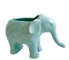 Maceta Elefante Blanco - comprar online