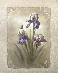 Iris Scroll - Vivian Flasch