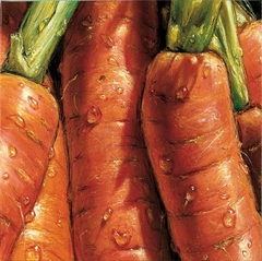 Carrots - Alma Ch