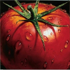 Tomato - Alma Ch