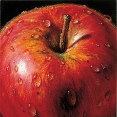 gravura maçã