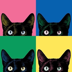 poster de gato