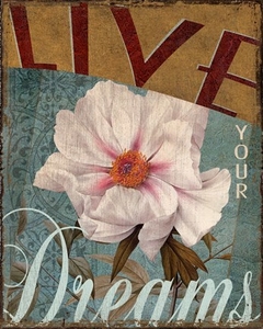 Live your dreams - Kelly Donovan