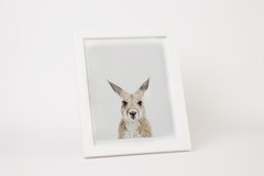 Cuadros de Animales - tienda online