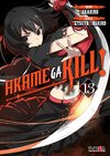 AKAME GA KILL 13