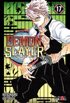 DEMON SLAYER - KIMETSU NO YAIBA 17