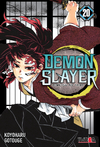 DEMON SLAYER - KIMETSU NO YAIBA 20