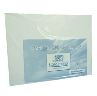 CARTULINA PIEL DE ANGEL CARTA X 50 UND