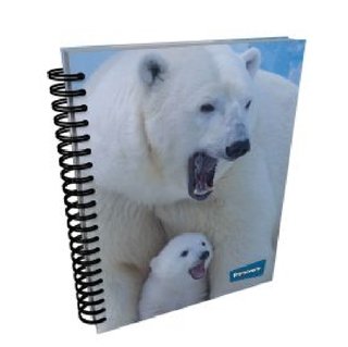 CUADERNO ARGOLLADO GRANDE PRIMAVERA 5 Y 7 MATERIAS MUJER