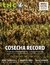 THC 108 - COSECHA RECORD