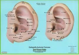 Mapa Cartografia Auricular Francesa - José Trezza Netto em Promoção na  Americanas