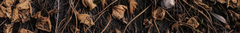 Banner de la categoría Realtree