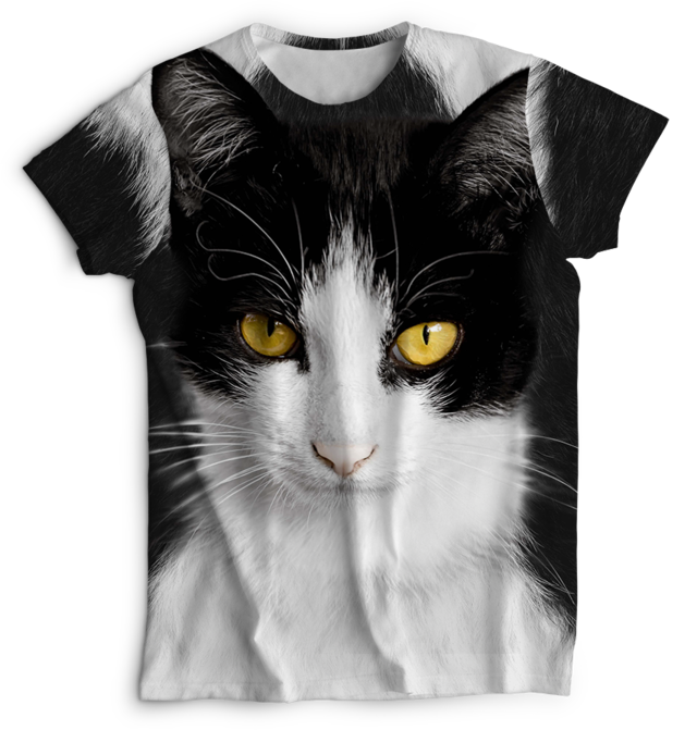 Remera gato blanco y negro de casa mod 2 irarte