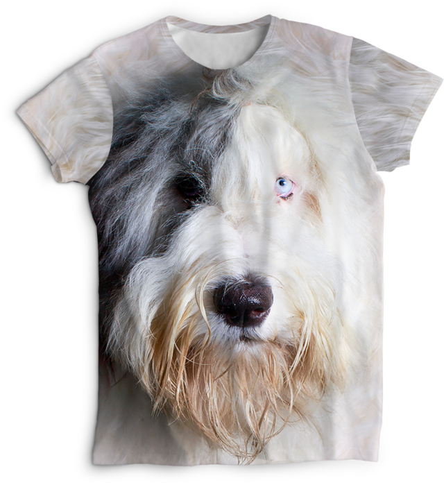 Viejo Pastor Ingles Adulto  Old english sheepdog, English