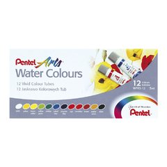 Set de acuarela 12 colores Pentel