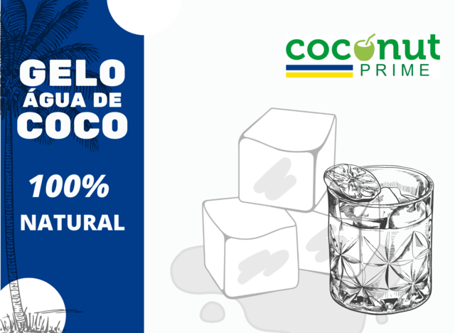 GELO DE COCO - Comprar em Coconut Brasil