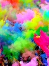 Polvos de Colores Fluo