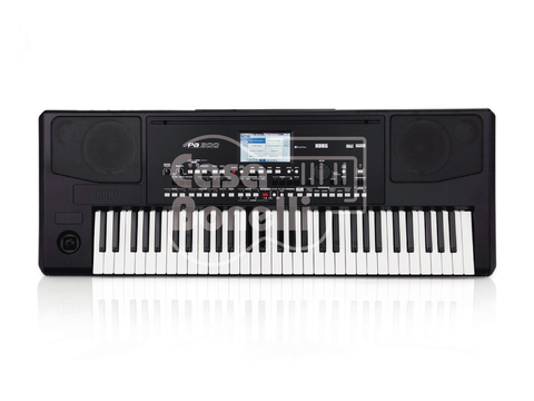 PA300 Korg Arranger Piano Electrónico 5 Octavas