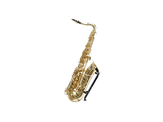 PSTD Parquer Custom Saxo Tenor con Estuche