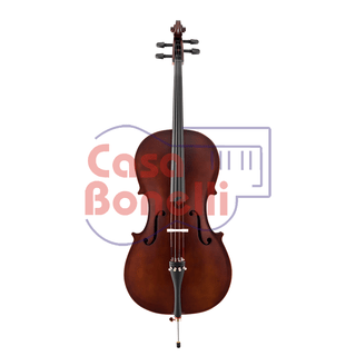 Violoncello 4/4 Stradella MC6012