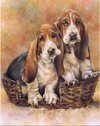 (1494) Pintura com Diamante - Cães - 25x30 cm - Total