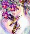 (2392) Pintura em tela Numerada - Beija-Flores