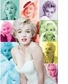 (1229) Pintura com Diamante - Marilyn Monroe - 25x20 cm - Total