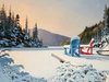 (222) Adirondack Winter - 500 peças