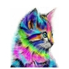 (2360) Pintura em Tela Numerada - Gato Colorido