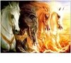 (1295) Pintura com Diamante - The Four Horses of the Apocalypse - 40x30 cm - Parcial
