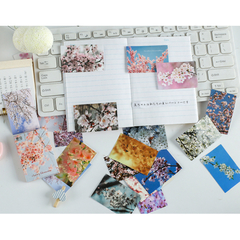 Stickers Cajita Rectangular Cherry Blossoms