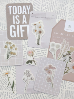 Stickers botanicos THE MEDICI GARDENS papel washi