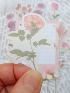 Stickers botanicos THE MEDICI GARDENS papel washi